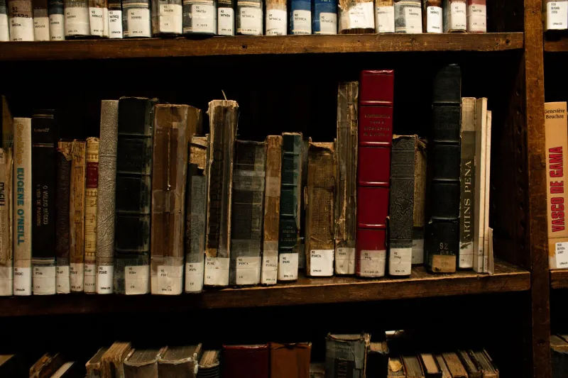 The Forbidden Shelf: Inside the Secret Networks Keeping Banned Books Breathing