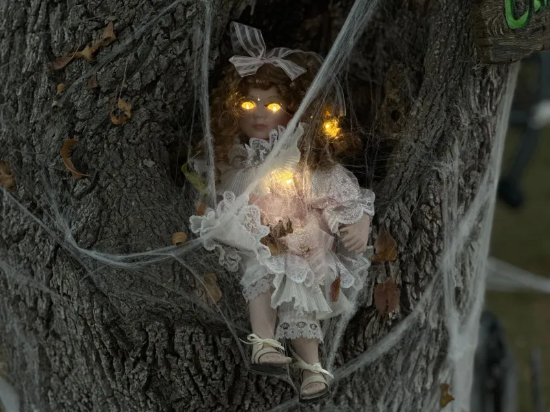 Bound, Listed, Sold: Following the Trail of America's $5 Haunted Doll Economy