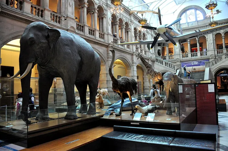 Stitch the Dead Back: How a New Generation of Taxidermists Is Making Victorian Preservation Weird Again